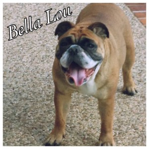 Bella Lou