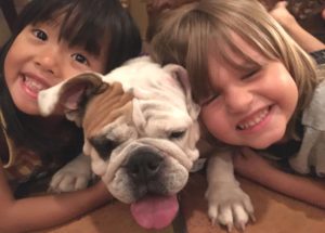 Stormy (now Merriweather)