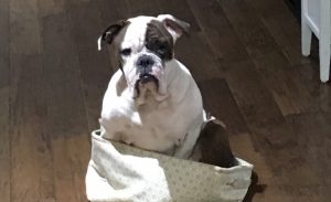 Betty