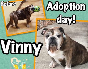 Vinny