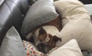 Kate Spade (now Noodle)