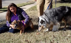 Phoenix (now Peanut)