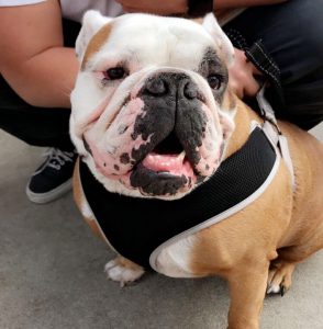 Tyson
