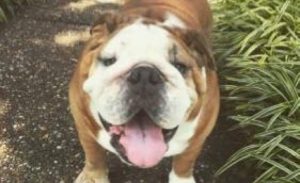 Hank (was Bruno Mars)