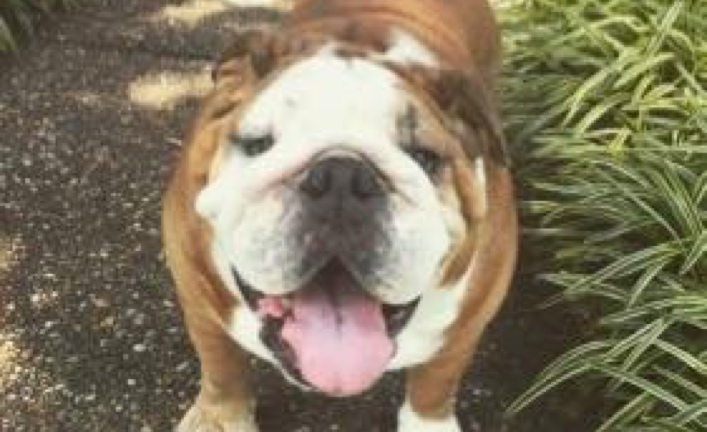 Hank (was Bruno Mars)