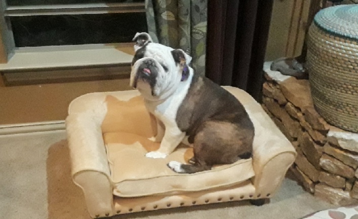 Mr. Beans  (now Floyd)