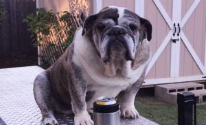 Maggie (formerly Tilly)