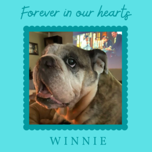 Wini Bago (now Winnie)