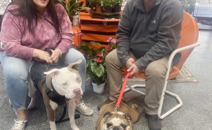 Queen Elizabeth (now Queenie)