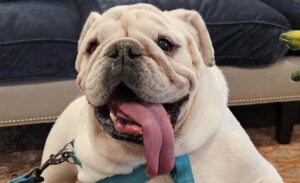 BaeBae  (now Bailey)