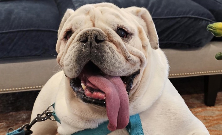 BaeBae  (now Bailey)