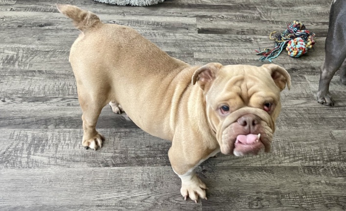 Sunshine Roxanne  (now Sunny)