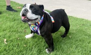 Sister Guacamole Zoe