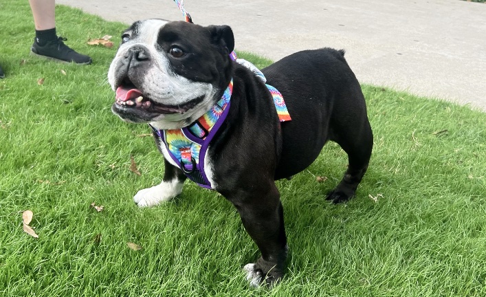 Sister Guacamole Zoe