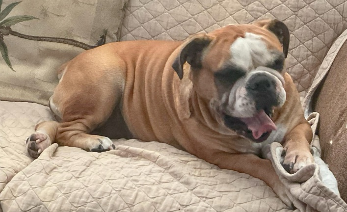 Daisy Duck Maeflower  (now Clara)