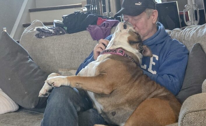 Lady Lilly  (now Lilly)