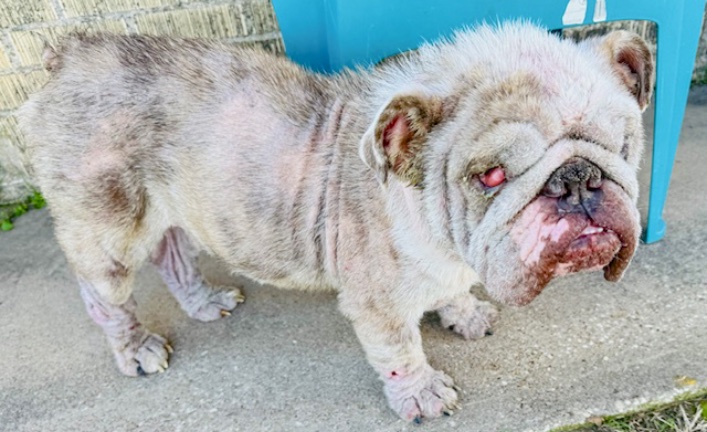 Saint  (now Pretzel)