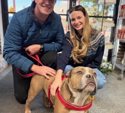 Sir Vance (now Hank)