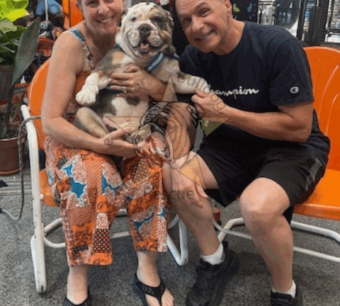 Wendell Beauregard (now Whiskey)