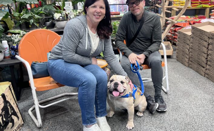 Toast (now Loki Toast)