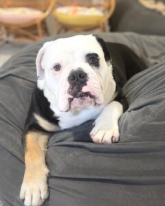 Delilah Maryann