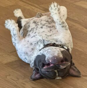 Murphy