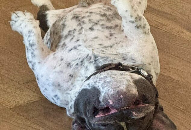Murphy