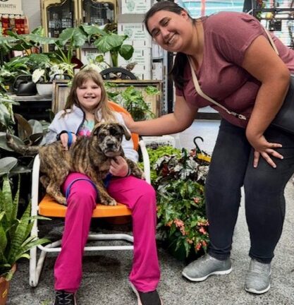 Blaze Noel (now Apollo Biscuit Noodle)